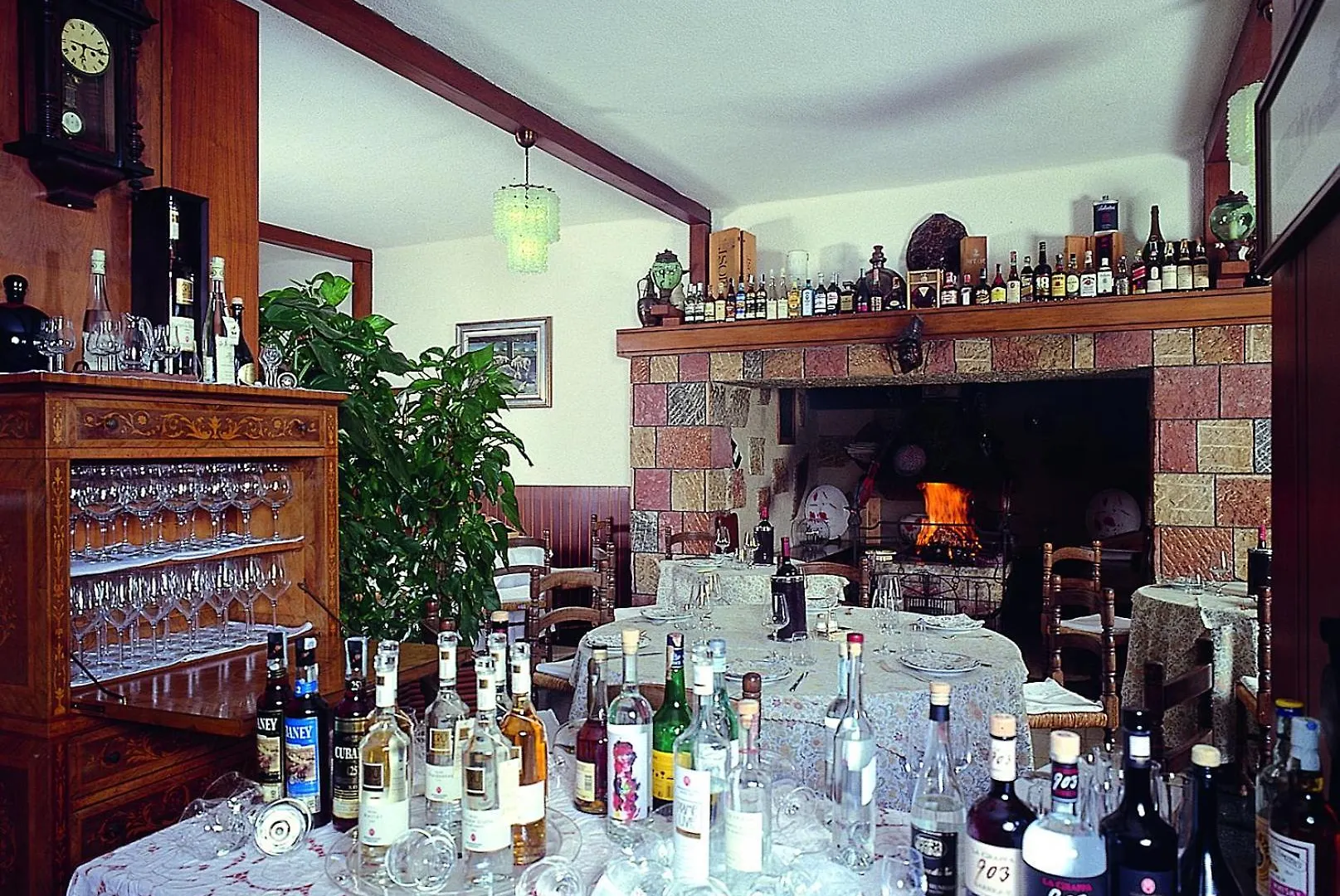 Parc Hotel Casa Mia